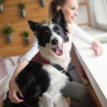 A core principle of our practice is pet-owner education and resources.