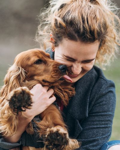 Find rebates for your pets’ medications.