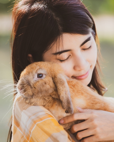 The AAHA recommends checking your pocket pet, like rabbits, weekly for bumps and lumps.