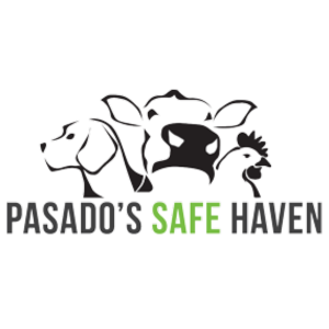 Pasado’s Safe Haven