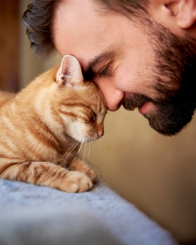 Risk-of-Health-Conditions: The veterinarians at Lynnwood Animal Hospital are dedicated to helping your pets lead a healthy and comfortable life as they age.