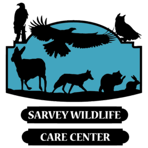 Sarvey Wildlife Care Center