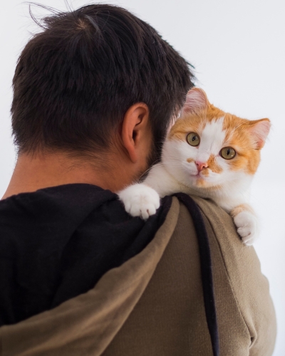 Lynnwood Animal Hospital provides urgent care and same-day appointments for cats and dogs.