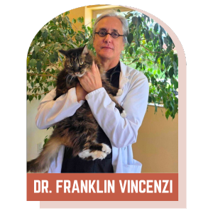 Dr. Franklin Vincenzi, DVM, Veterinarian at Lynnwood Animal Hospital