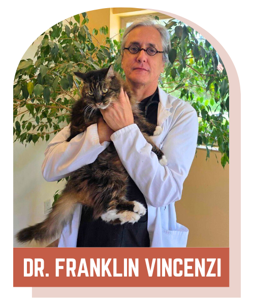 Dr. Franklin Vincenzi, DVM, Veterinarian at Lynnwood Animal Hospital Dr. Franklin Vincenzi, DVM, Veterinarian at Lynnwood Animal Hospital