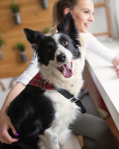 A core principle of our practice is pet-owner education and resources.