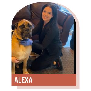Alexa, Veterinary Assistant at Lynnwood Animal Hospital