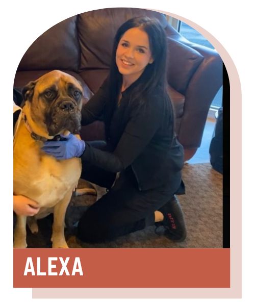 Alexa, Veterinary Assistant at Lynnwood Animal Hospital