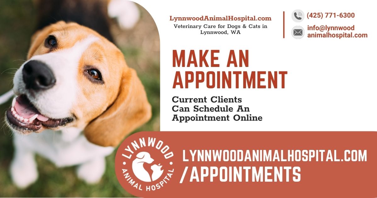 Make an Appointment | Lynnwood Animal Hospital | Vet Care For Dogs & Cats