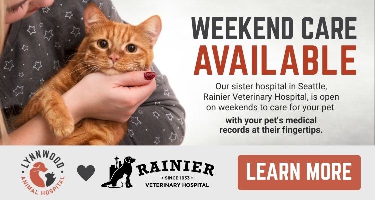Weekend Care Available at Our Sister Hospital, Rainier Vet, in Seattle with your pet's medical records at their fingertips. 